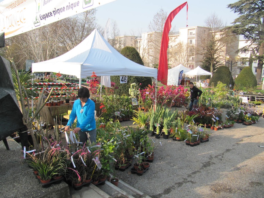 Foire aux plantes rares de Saint Priest