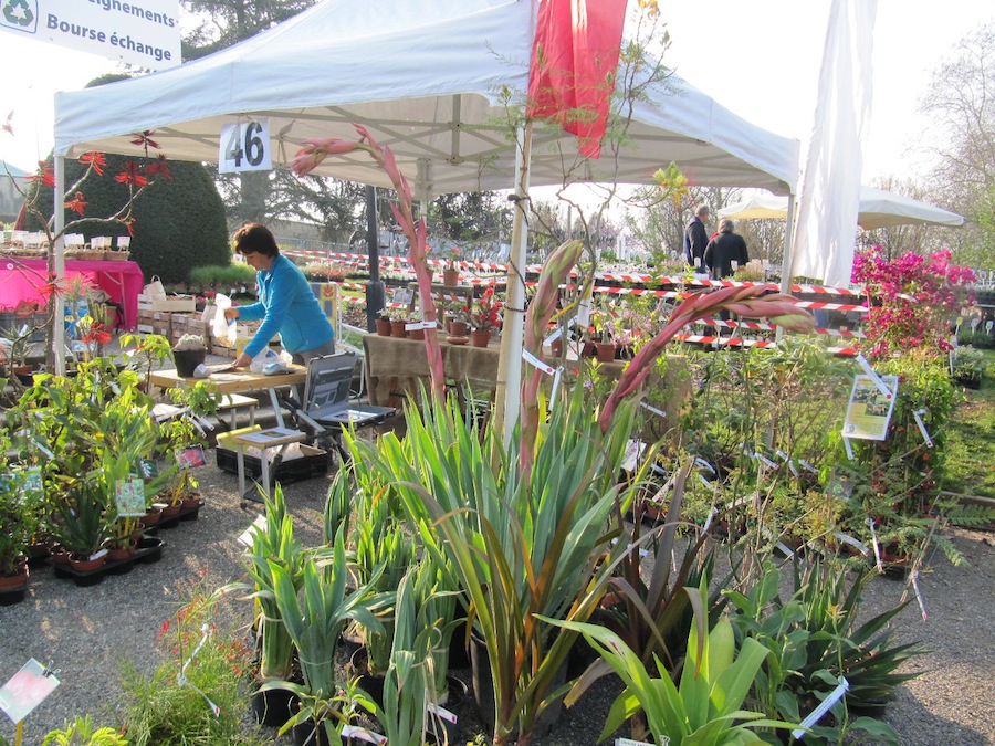 Foire aux plantes rares de Saint Priest