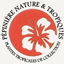 Pépinière Nature & Tropiques, producteur de plantes tropicales exotiques acclimatées